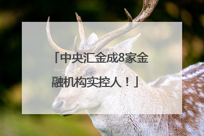 中央汇金成8家金融机构实控人！